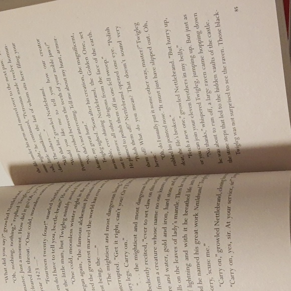 Dragon Rider Paperback Books 1 and 2 - Picture 9 of 16